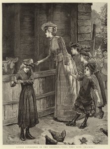 Little Londoners in the Country, eles vão morder, professor